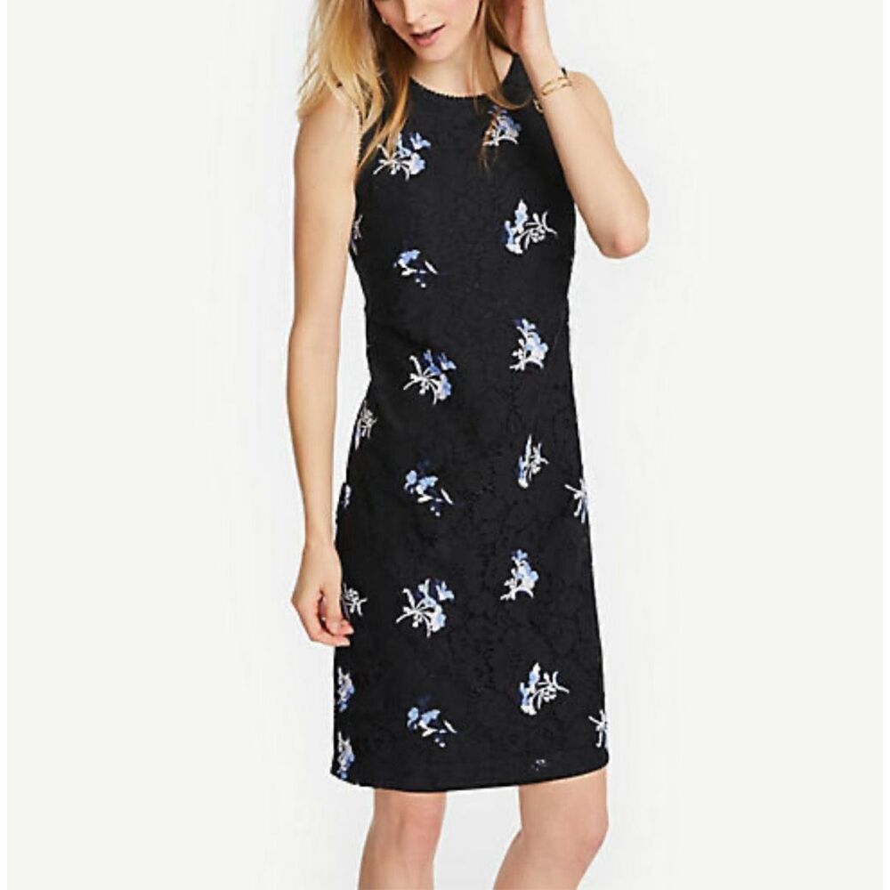 Ann Taylor Blue and Black Floral Lace Sleeveless sheath Dress Size 8